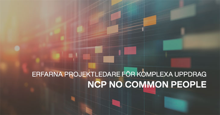 NCP No Common People - konsulter in om projektledning