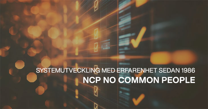 NCP No Common People - konsulter in om systemutveckling
